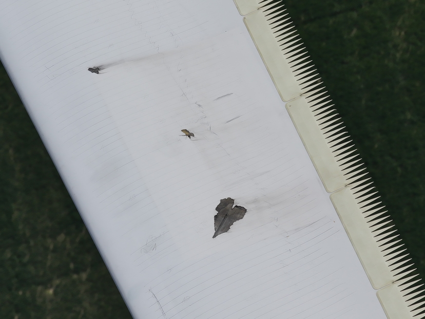 Rotorblatt-Schaden: Erosion an der Blattvorderkante