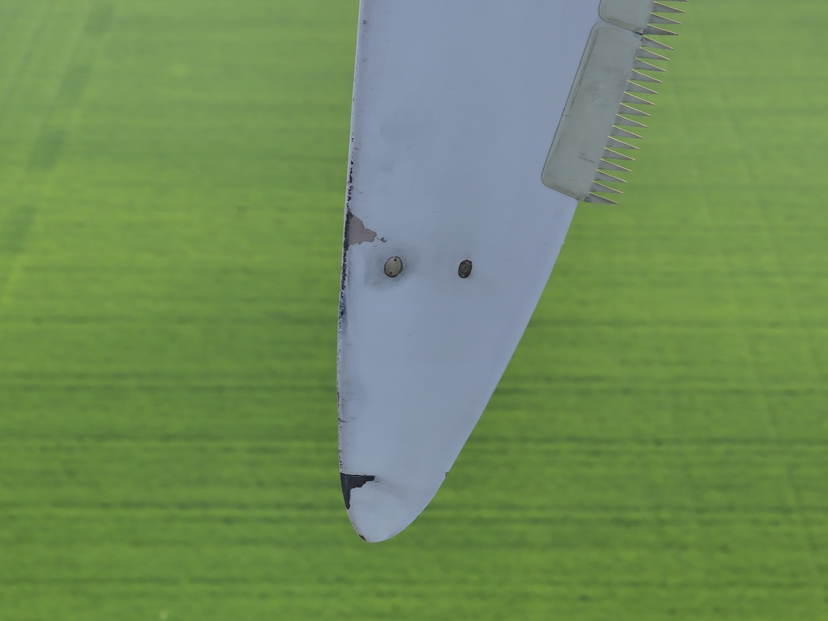 Rotorblatt-Schaden: Beschichtungsschäden an der Blattspitze